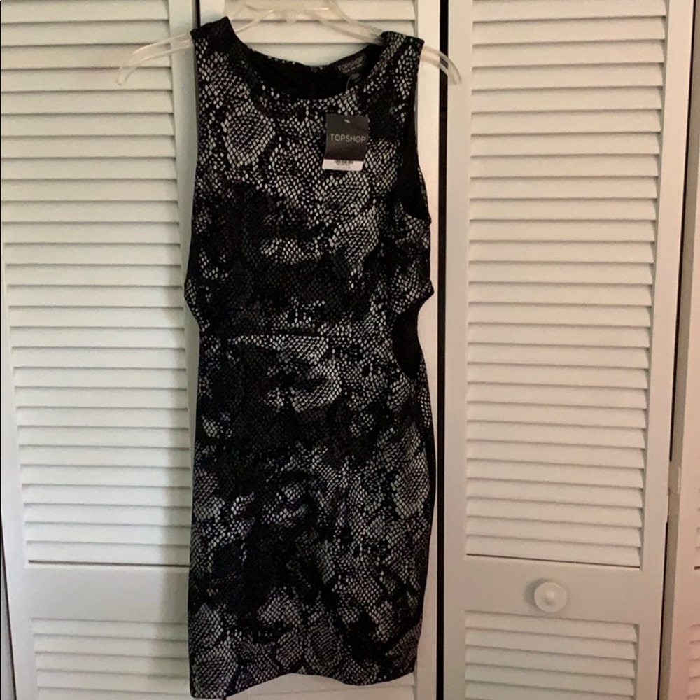Topshop Snakeskin Dress
